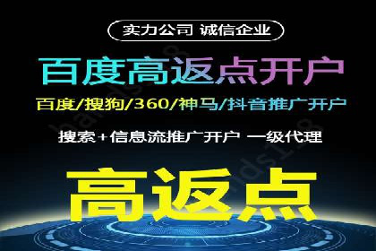 百度竞价广告投放策略及成功盈利案例