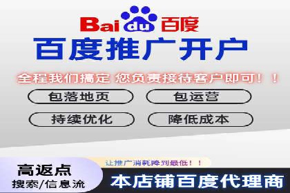 百度竞价广告投放数据分析